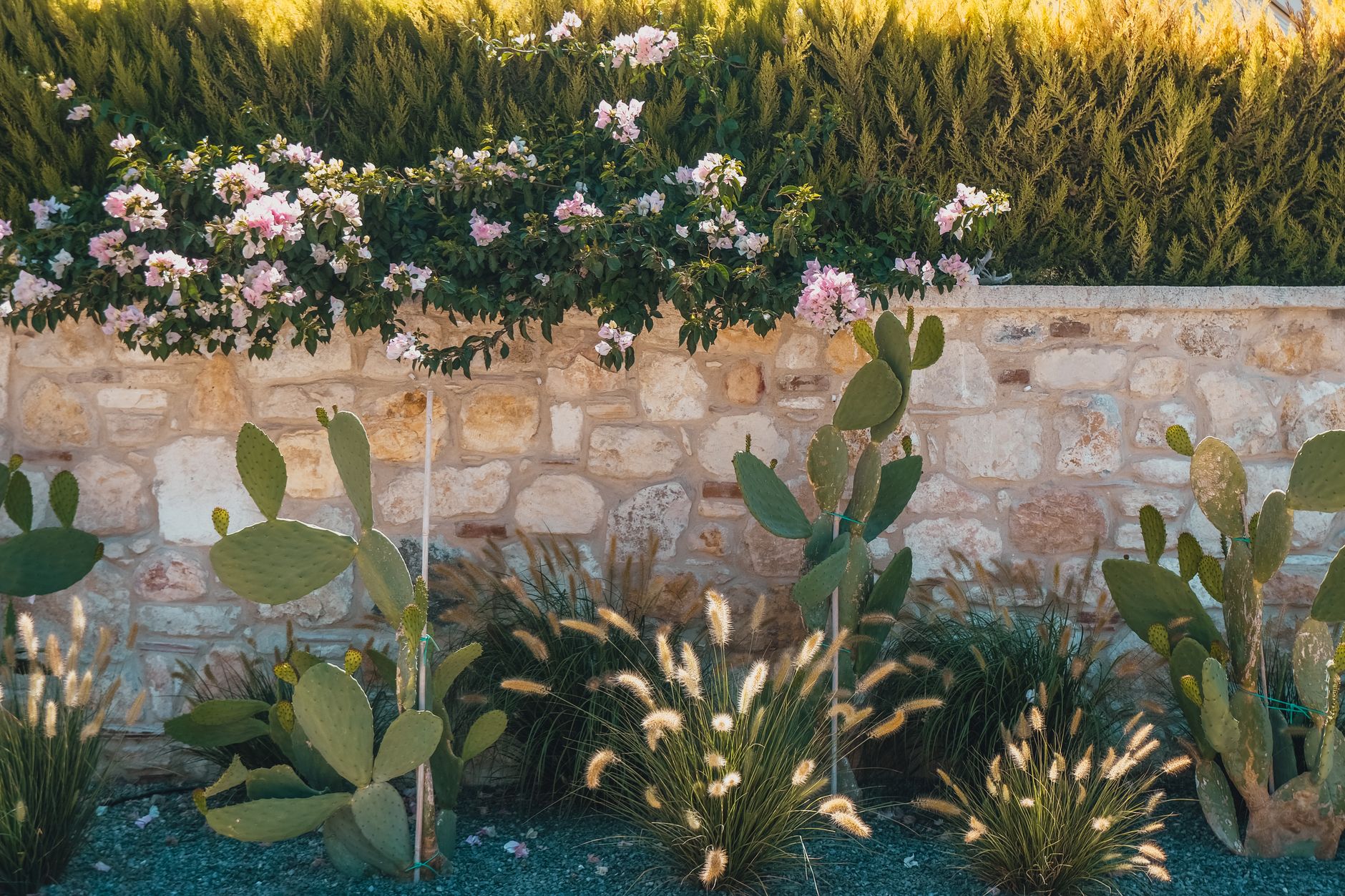 Mur de pierre et végétation dans un jardin